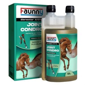 Faunny Joint Condro 1L