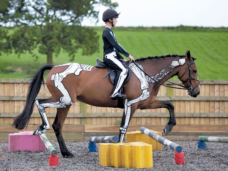 Calentamiento de caballos