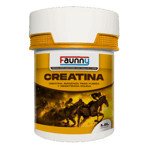 FAUNY CREATINA 1.5L